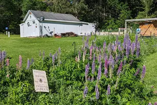 4676 109th Ave, Clear Lake, MN 55319 - Photo 33