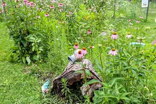 4676 109th Ave, Clear Lake, MN 55319 - Photo 35