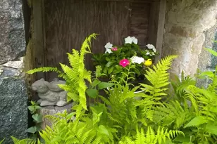 13601 123rd St, Little Falls, MN 56345 - Photo 9