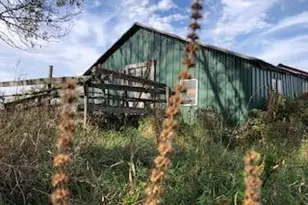 13601 123rd St, Little Falls, MN 56345 - Photo 5