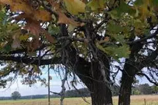 13601 123rd St, Little Falls, MN 56345 - Photo 7