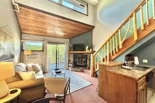 113 Bridge Run Ln, Lutsen Township, MN 55612 - Photo 1