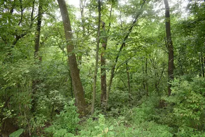 25048 County Road 34, Paynesville, MN 56362 - Photo 51