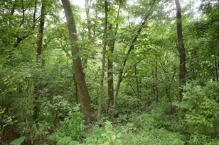 25048 Co Rd 34, Paynesville, MN 56362 - Photo 51