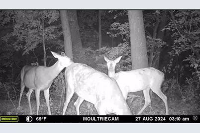 25048 County Road 34, Paynesville, MN 56362 - Photo 75