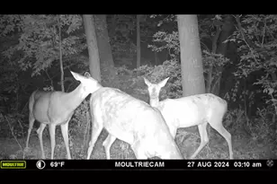 25048 Co Rd 34, Paynesville, MN 56362 - Photo 75