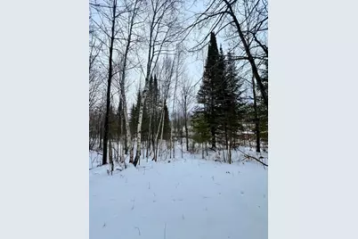 101 Baich Drive, Coleraine, MN 55722 - Photo 9