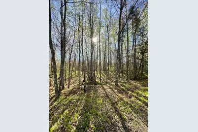 Tbd Baich Dr, Coleraine, MN 55722 - Photo 11