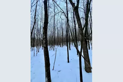 Tbd Baich Dr, Coleraine, MN 55722 - Photo 15