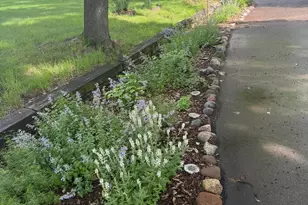 2720 64th St E, Inver Grove Heights, MN 55076 - Photo 77