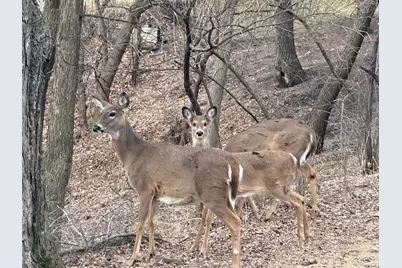 2720 64th Street E, Inver Grove Heights, MN 55076 - Photo 85