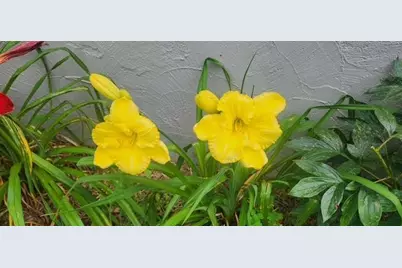 1019 Ash Street, Alexandria, MN 56308 - Photo 75