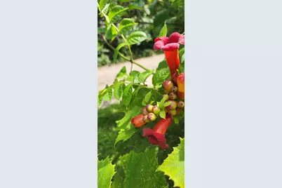 1019 Ash Street, Alexandria, MN 56308 - Photo 65