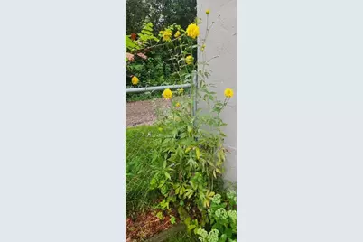 1019 Ash Street, Alexandria, MN 56308 - Photo 69