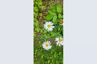 1019 Ash Street, Alexandria, MN 56308 - Photo 65