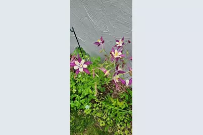 1019 Ash Street, Alexandria, MN 56308 - Photo 67