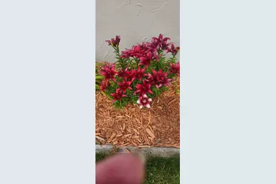 1019 Ash Street, Alexandria, MN 56308 - Photo 81