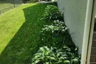 1019 Ash St, Alexandria, MN 56308 - Photo 57