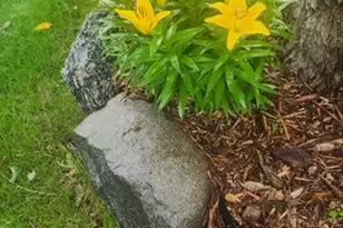 1019 Ash St, Alexandria, MN 56308 - Photo 73