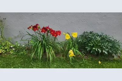 1019 Ash Street, Alexandria, MN 56308 - Photo 67