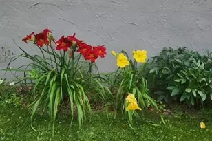 1019 Ash St, Alexandria, MN 56308 - Photo 67