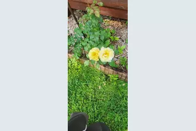 1019 Ash Street, Alexandria, MN 56308 - Photo 59