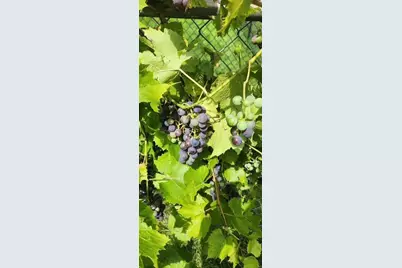 1019 Ash Street, Alexandria, MN 56308 - Photo 73