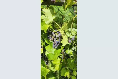 1019 Ash Street, Alexandria, MN 56308 - Photo 71