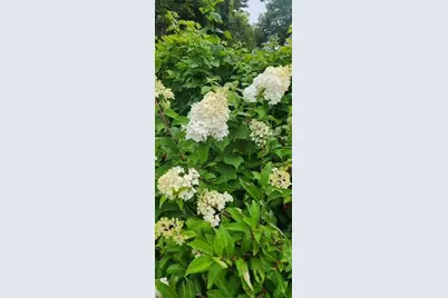 1019 Ash Street, Alexandria, MN 56308 - Photo 63