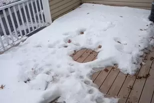 14391 Hickory Way, Apple Valley, MN 55124 - Photo 9