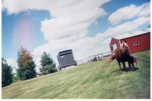 823 Northview Dr, Hudson, WI 54016 - Photo 5