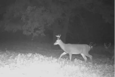 Tbd Cty Rd 115 +/- 146.62 County Road 115, Saint Augusta, MN 56301 - Photo 17