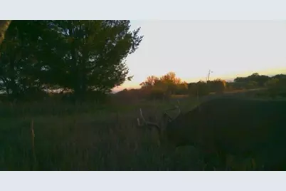 Tbd Cty Rd 115 +/- 146.62 County Road 115, Saint Augusta, MN 56301 - Photo 37