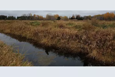 Tbd Cty Rd 115 +/- 146.62 County Road 115, Saint Augusta, MN 56301 - Photo 29