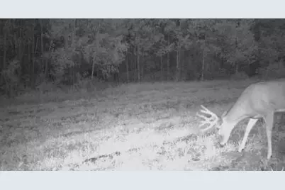 Tbd Cty Rd 115 +/- 146.62 County Road 115, Saint Augusta, MN 56301 - Photo 49