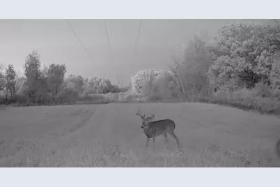 Tbd Cty Rd 115 +/- 146.62 County Road 115, Saint Augusta, MN 56301 - Photo 71