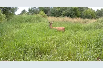 Tbd Cty Rd 115 +/- 146.62 County Road 115, Saint Augusta, MN 56301 - Photo 53
