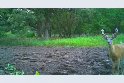 Tbd Cty Rd 115 +/- 146.62 County Road 115, Saint Augusta, MN 56301 - Photo 57