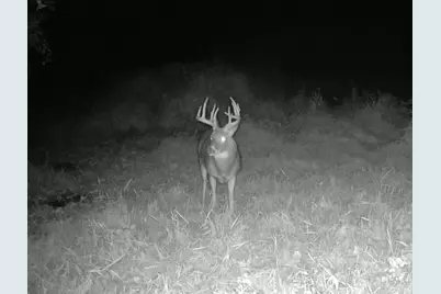 Tbd Cty Rd 115 +/- 146.62 County Road 115, Saint Augusta, MN 56301 - Photo 69