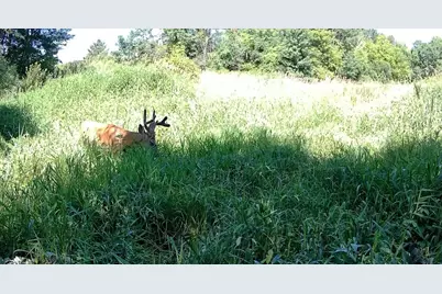 Tbd Cty Rd 115 +/- 146.62 County Road 115, Saint Augusta, MN 56301 - Photo 51