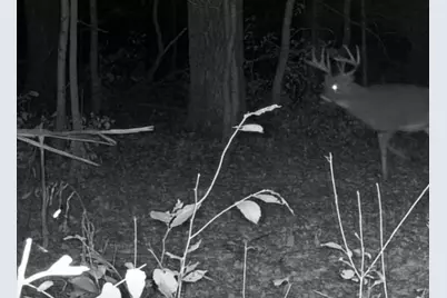 Tbd Cty Rd 115 +/- 146.62 County Road 115, Saint Augusta, MN 56301 - Photo 7