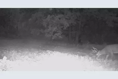 Tbd Cty Rd 115 +/- 146.62 County Road 115, Saint Augusta, MN 56301 - Photo 59