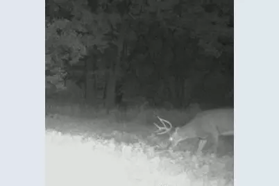 Tbd Cty Rd 115 +/- 146.62 County Road 115, Saint Augusta, MN 56301 - Photo 11