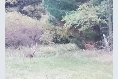 Tbd Cty Rd 115 +/- 146.62 County Road 115, Saint Augusta, MN 56301 - Photo 25
