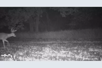 Tbd Cty Rd 115 +/- 146.62 County Road 115, Saint Augusta, MN 56301 - Photo 61