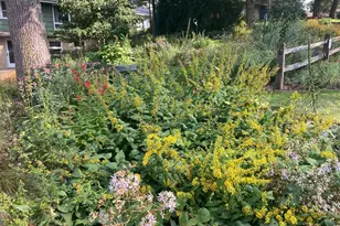 3974 Fairview Ave N, Arden Hills, MN 55112 - Photo 51