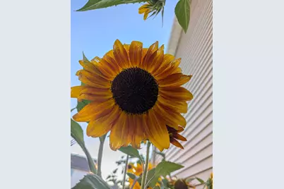 6207 Hillsboro Drive NW, Rochester, MN 55901 - Photo 35