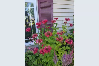 6207 Hillsboro Drive NW, Rochester, MN 55901 - Photo 25