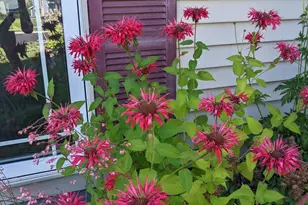 6207 Hillsboro Dr N W, Rochester, MN 55901 - Photo 25