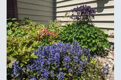 6207 Hillsboro Drive NW, Rochester, MN 55901 - Photo 27